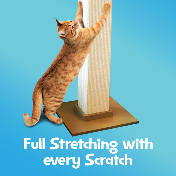 SmartCat photo 3