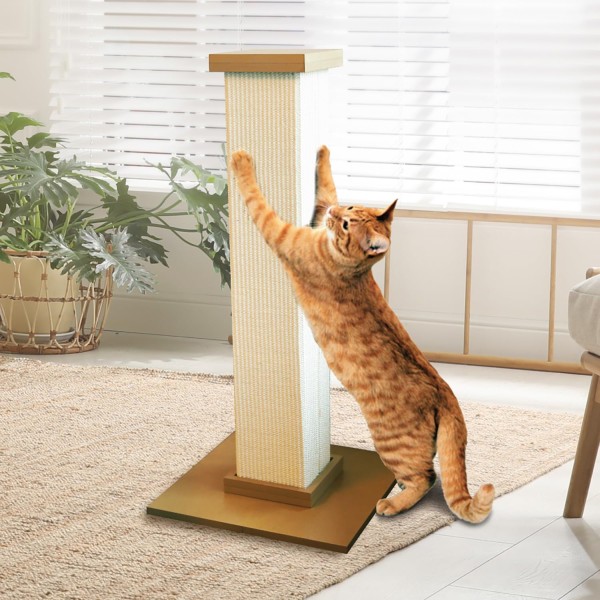 SmartCat photo 4